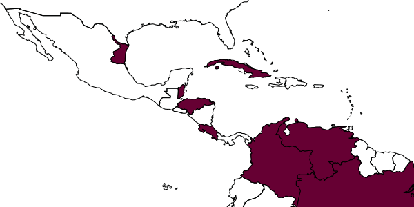 map of Eiphosoma laphygmae     Costa Lima, 1953